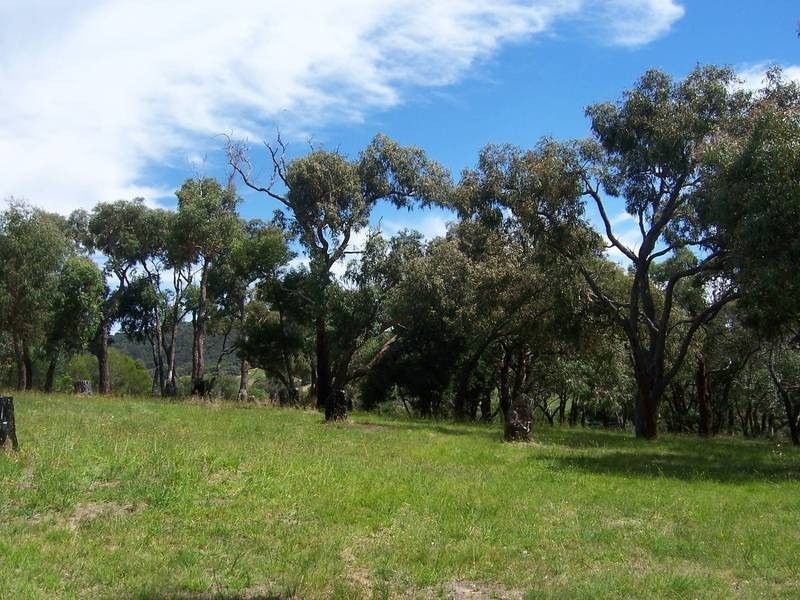 32 Luton Avenue, Red Hill VIC 3937