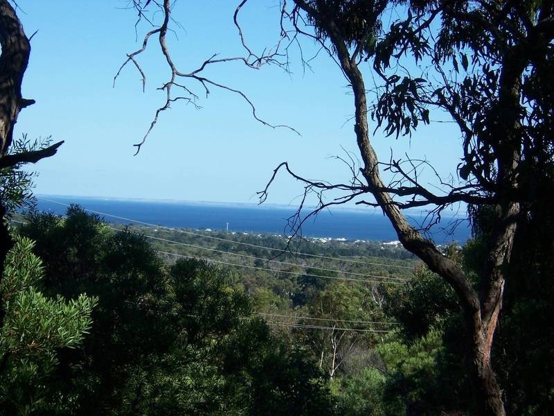 32 Luton Avenue, Red Hill VIC 3937