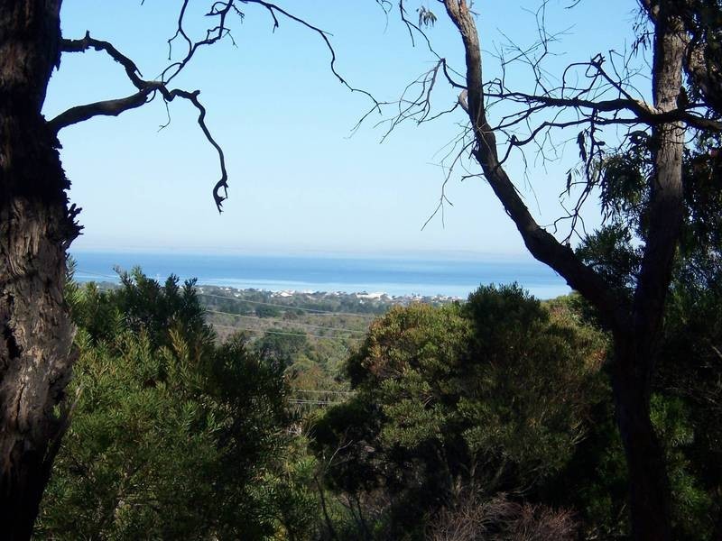 32 Luton Avenue, Red Hill VIC 3937