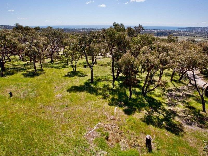 32 Luton Avenue, Red Hill VIC 3937