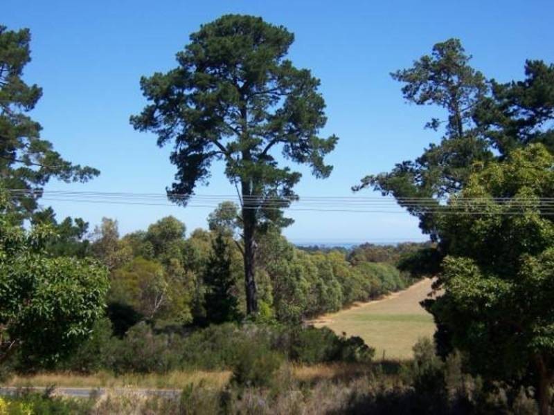 3120 Frankston Flinders Rd, Balnarring VIC 3926