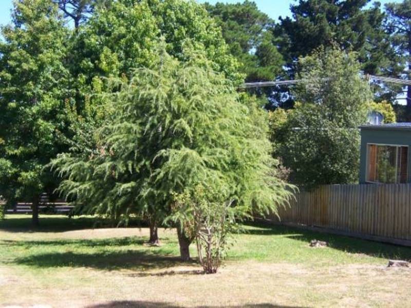 3120 Frankston Flinders Rd, Balnarring VIC 3926