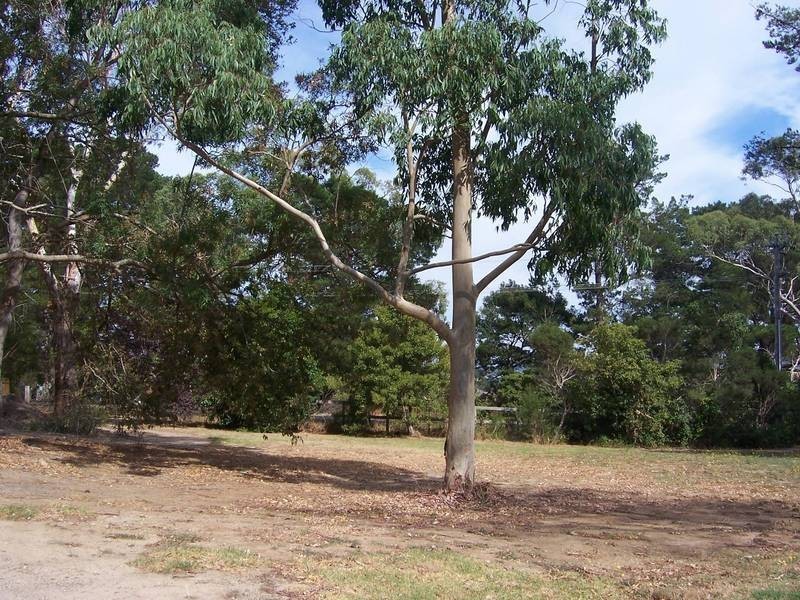 Lot 2, 1/Lot 2 Warrawee Road, Balnarring VIC 3926