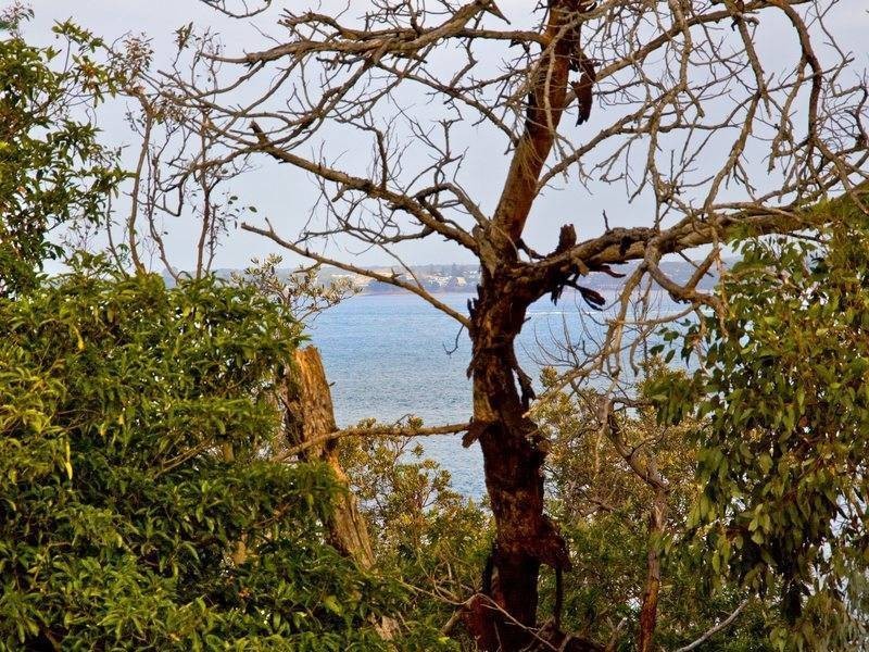 58 Tasman Road, Somers VIC 3927