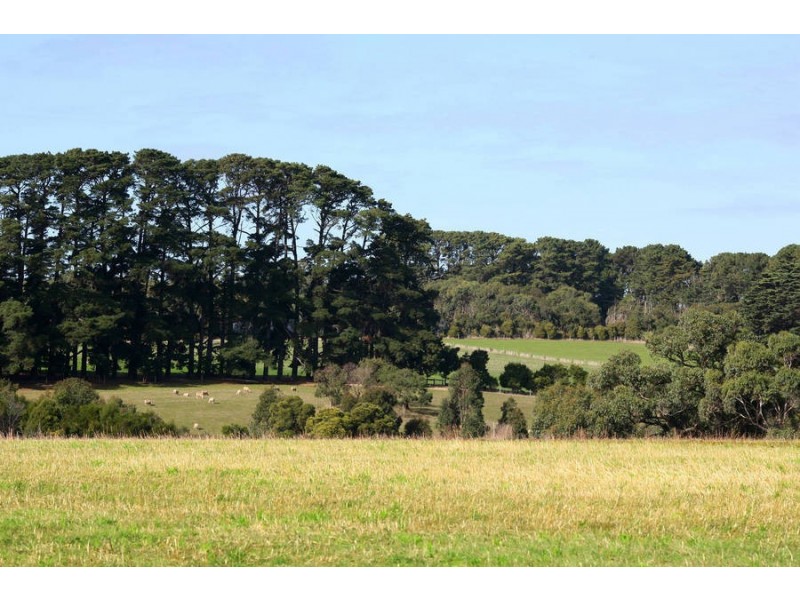 Lot 2, 187 Roberts Road, Main Ridge VIC 3928