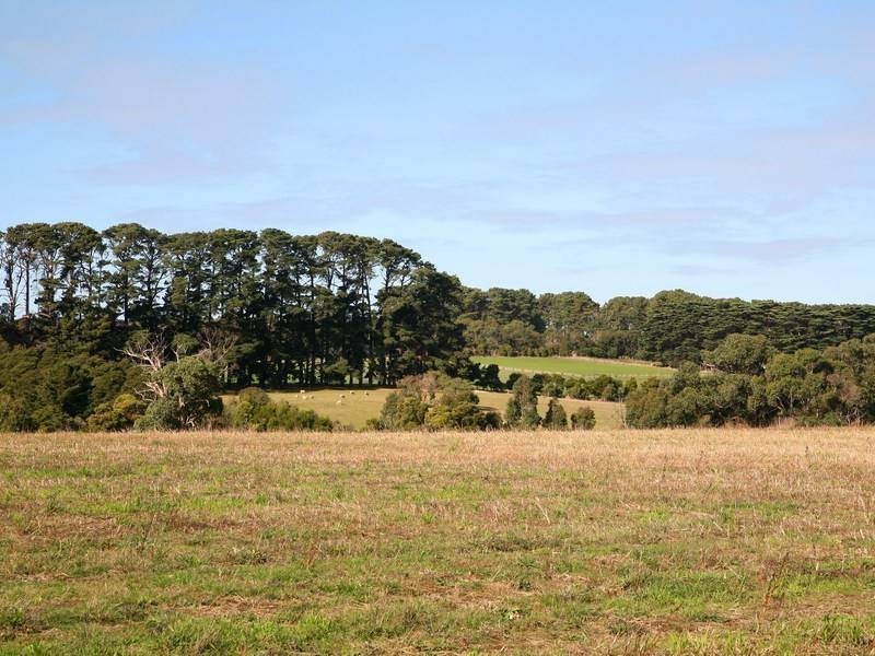 Lot 2, 187 Roberts Road, Main Ridge VIC 3928