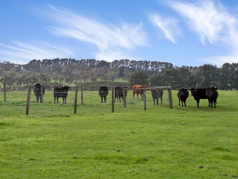 110 Stumpy Gully Road, Balnarring VIC 3926