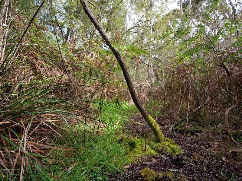 21 Marine Parade, Shoreham VIC 3916