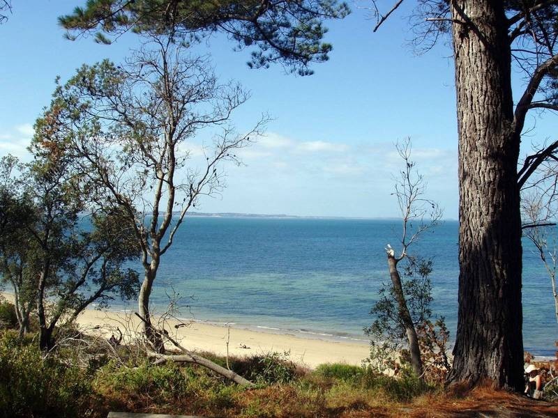 16 Oxley Court, Somers VIC 3927