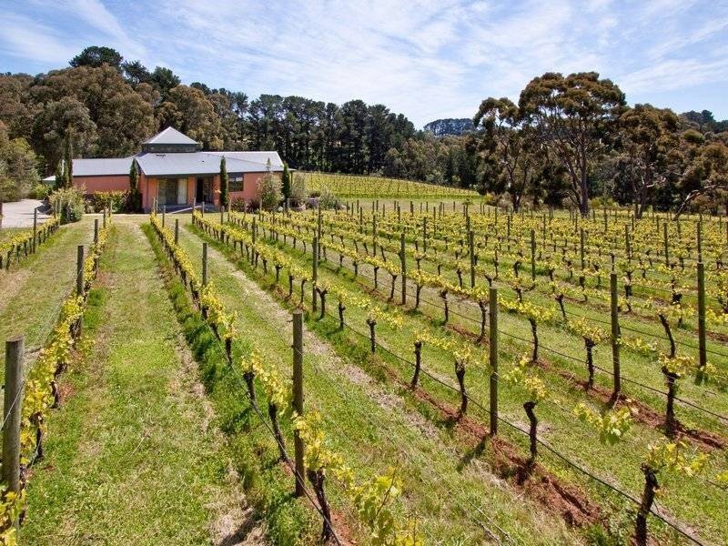 150 Red Hill Road, Red Hill VIC 3937