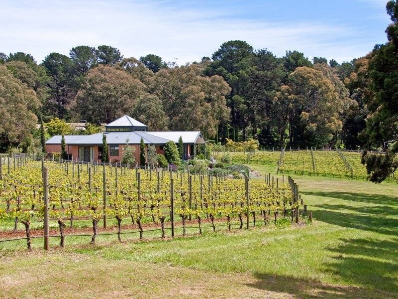 150 Red Hill Road, Red Hill VIC 3937