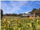 150 Red Hill Road, Red Hill VIC 3937