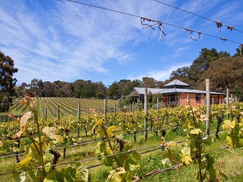 150 Red Hill Road, Red Hill VIC 3937