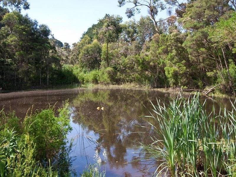 59 Main Creek Road, Red Hill VIC 3937