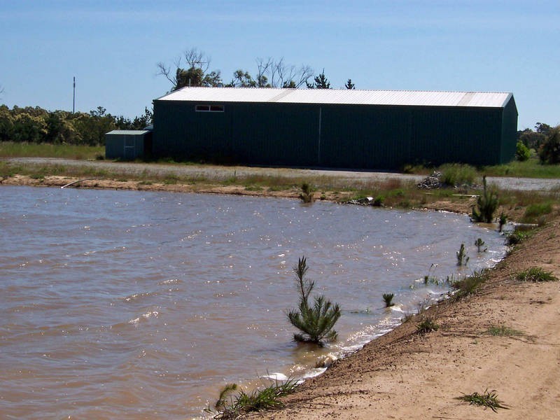 36 Dandenong – Hastings Road, Tyabb VIC 3913