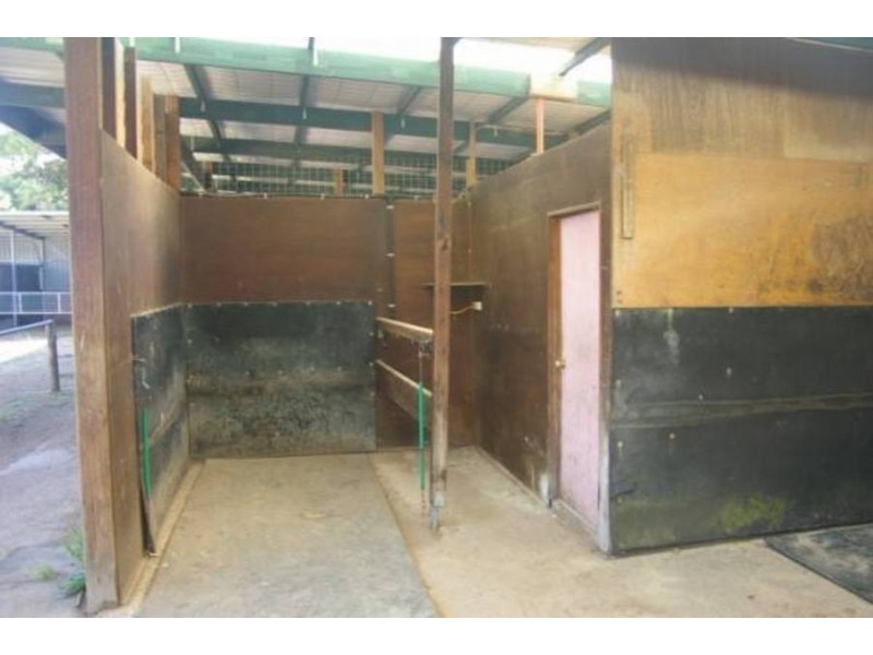 161 Roberts Road, Mornington VIC 3931