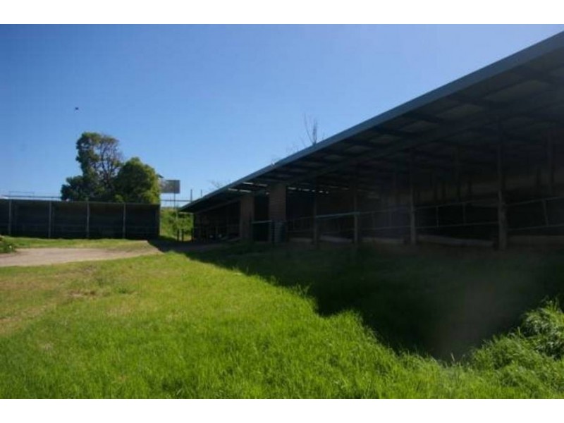 161 Roberts Road, Mornington VIC 3931