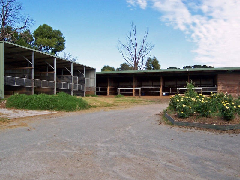 161 Roberts Road, Mornington VIC 3931