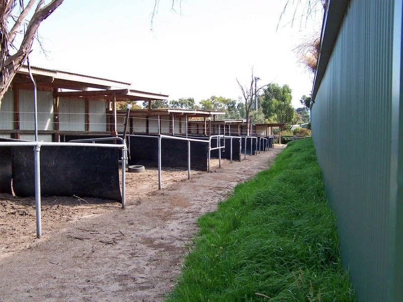 161 Roberts Road, Mornington VIC 3931