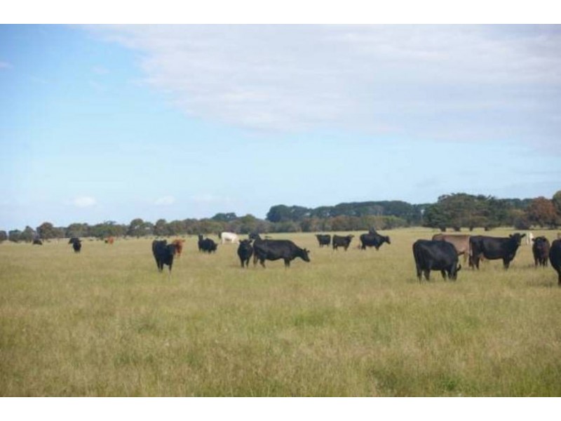 . Coolart Road, Somers VIC 3927