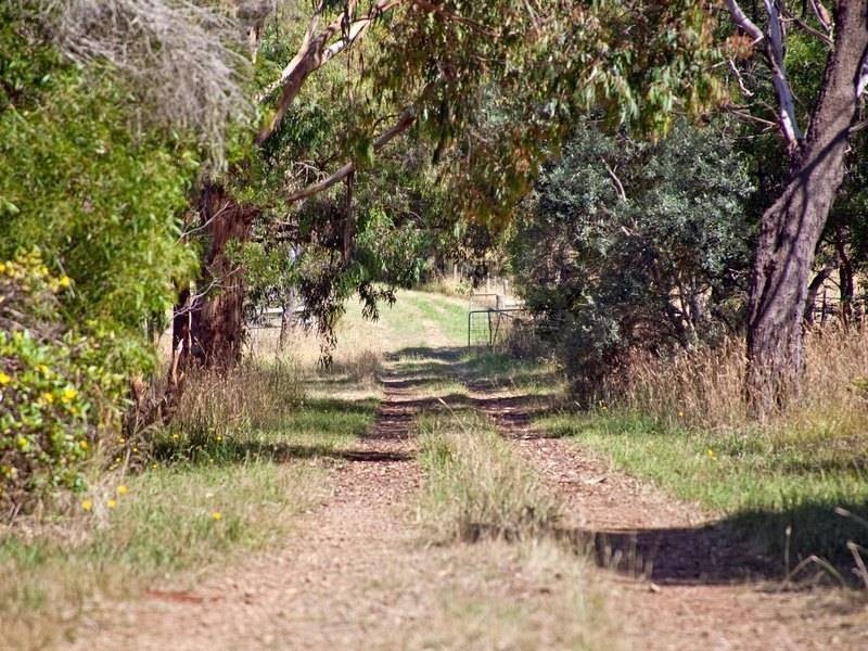 142 Bittern Dromana Road, Merricks North VIC 3926