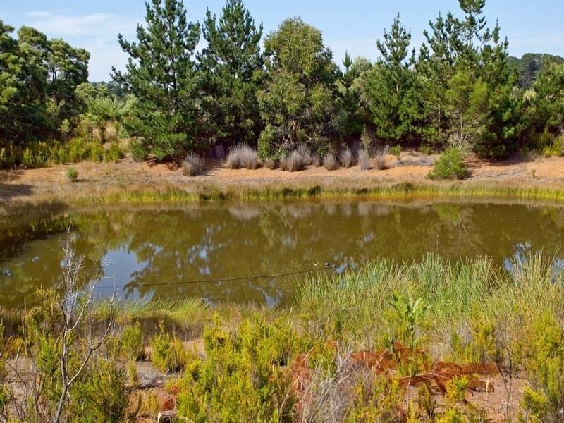 142 Bittern Dromana Road, Merricks North VIC 3926