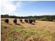 142 Bittern Dromana Road, Merricks North VIC 3926