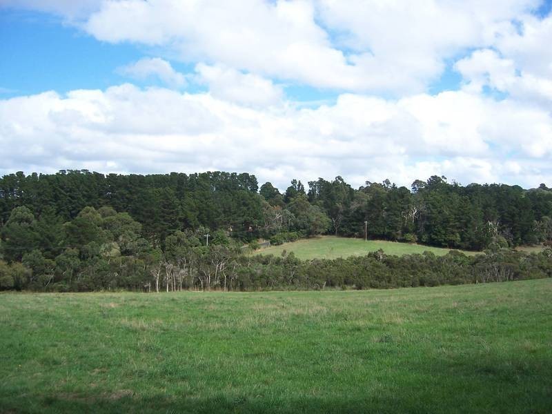 142 Bittern Dromana Road, Merricks North VIC 3926