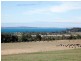 5 Stanleys Rd, Balnarring VIC 3926