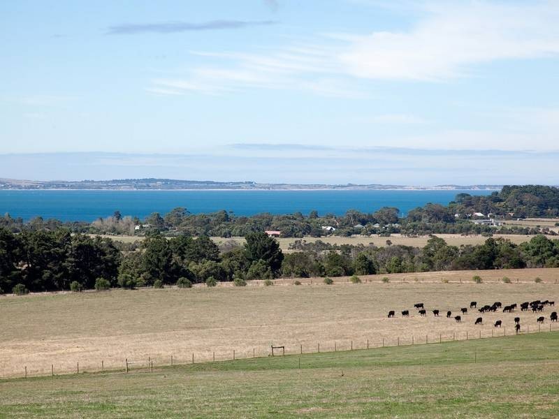 5 Stanleys Rd, Balnarring VIC 3926