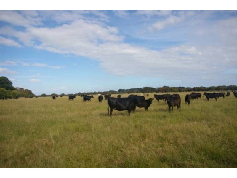 8 Cnr Coolart – Sandy Point Road, Somers VIC 3927