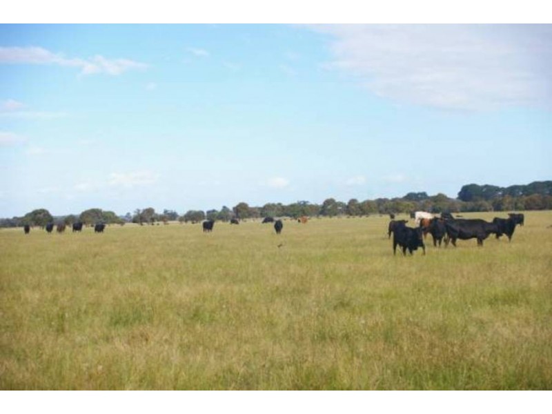 8 Cnr Coolart – Sandy Point Road, Somers VIC 3927