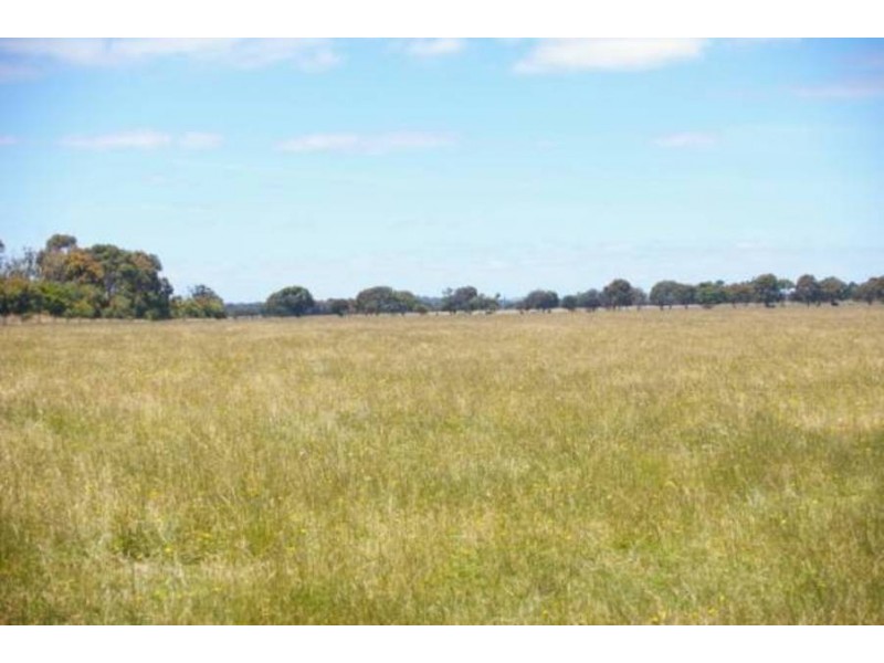 8 Cnr Coolart – Sandy Point Road, Somers VIC 3927