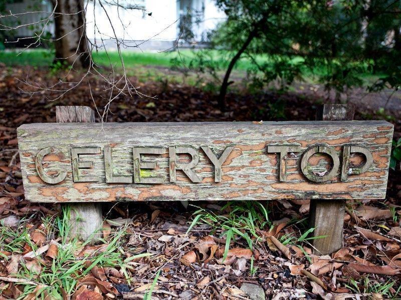 9 Victoria Avenue, Somers VIC 3927