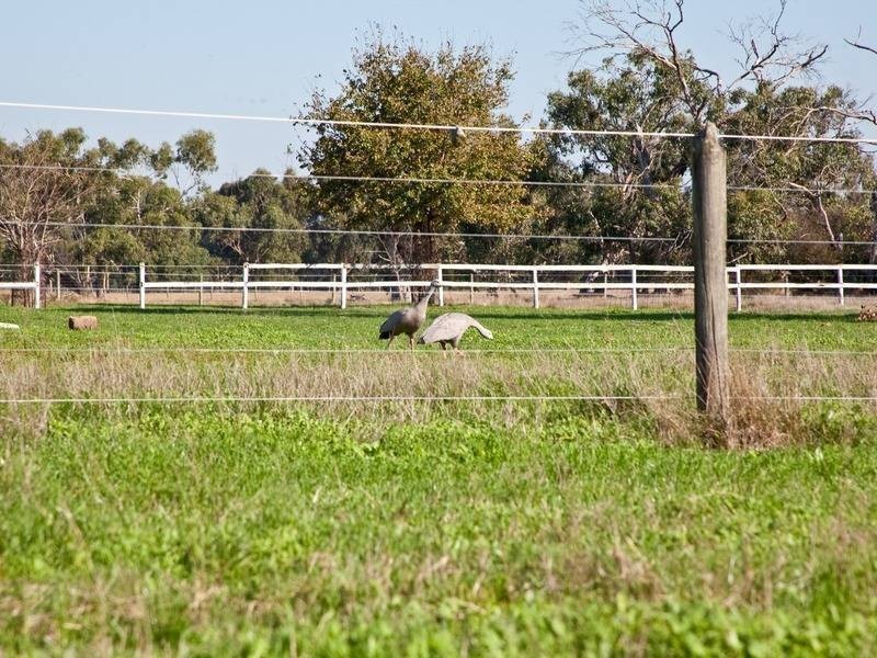 744 Frankston Flinders Road, Baxter VIC 3911