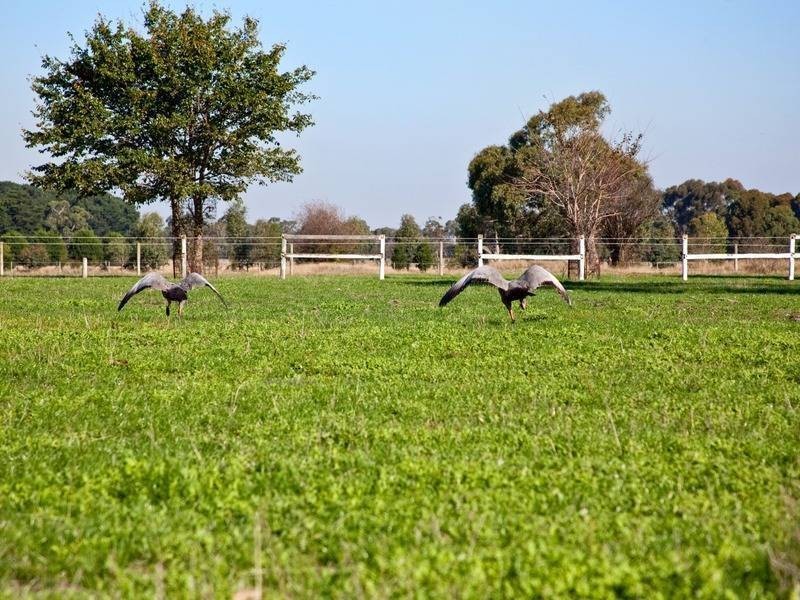 744 Frankston Flinders Road, Baxter VIC 3911