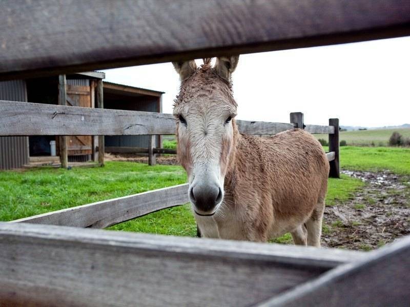 4370 Frankston Flinders Rd, Flinders VIC 3929