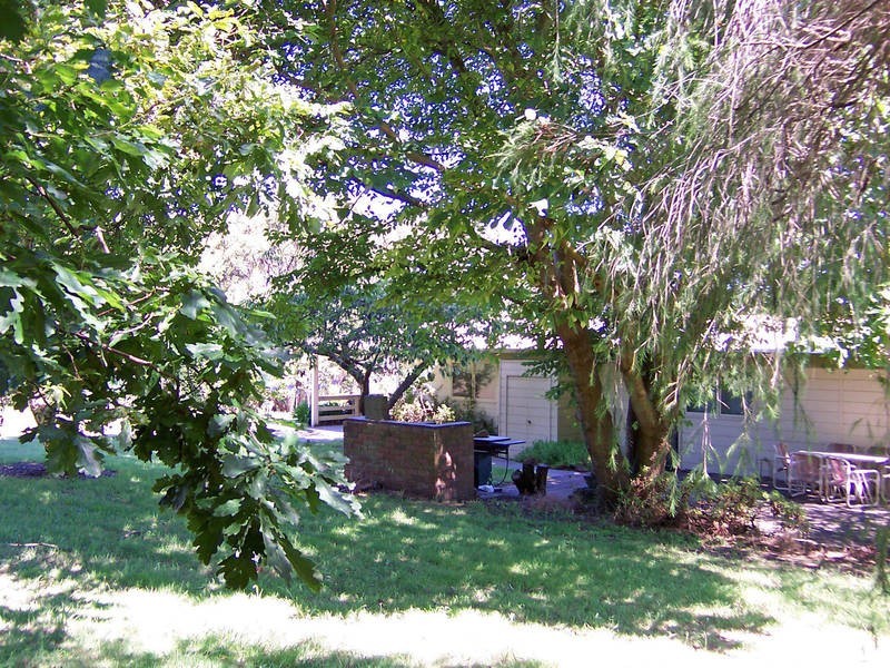 216 Purves Road, Main Ridge VIC 3928