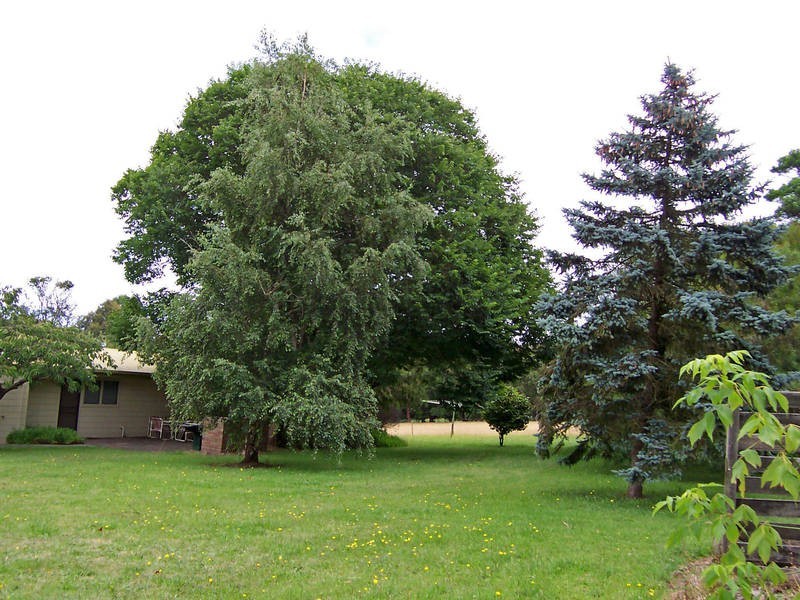 216 Purves Road, Main Ridge VIC 3928