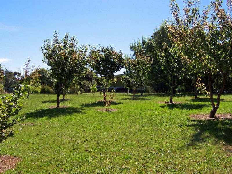 216 Purves Road, Main Ridge VIC 3928