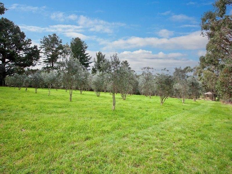 165 Roberts Road, Main Ridge VIC 3928