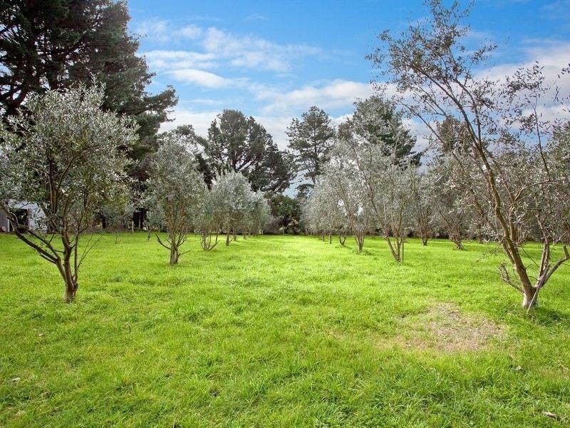 165 Roberts Road, Main Ridge VIC 3928