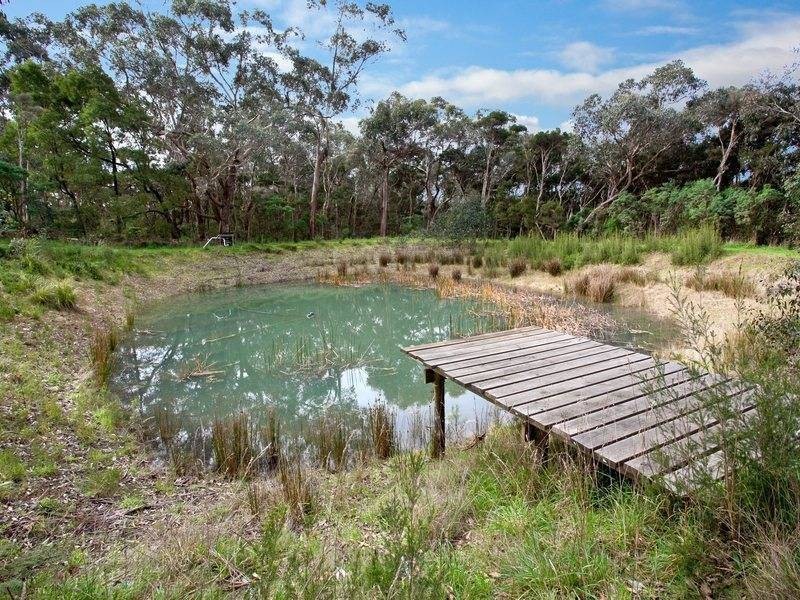 165 Roberts Road, Main Ridge VIC 3928