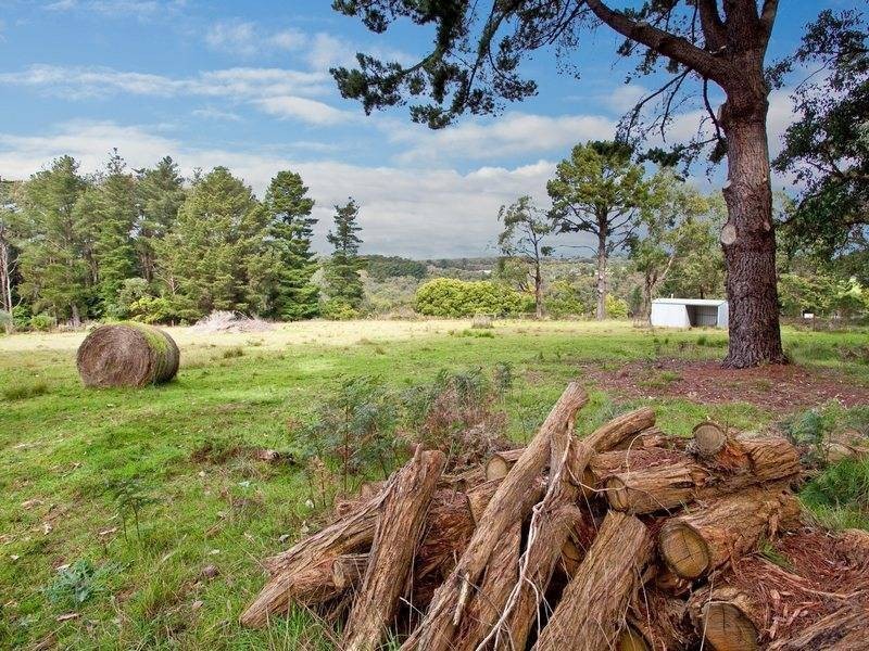 165 Roberts Road, Main Ridge VIC 3928