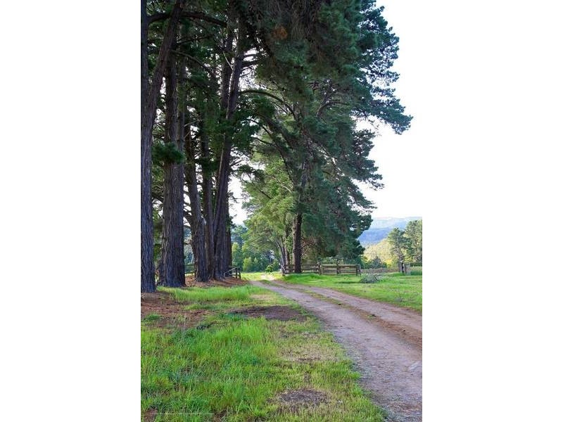 77 Stanleys Road, Merricks VIC 3916