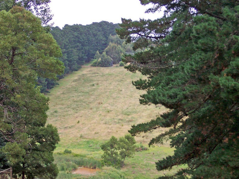 244 Red Hill Road, Red Hill VIC 3937