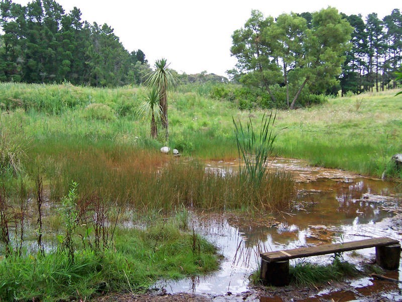 244 Red Hill Road, Red Hill VIC 3937