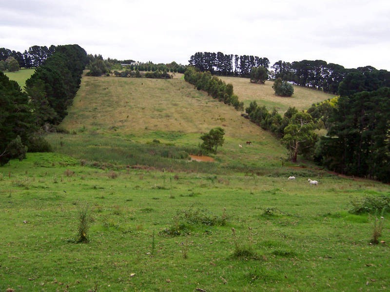 244 Red Hill Road, Red Hill VIC 3937