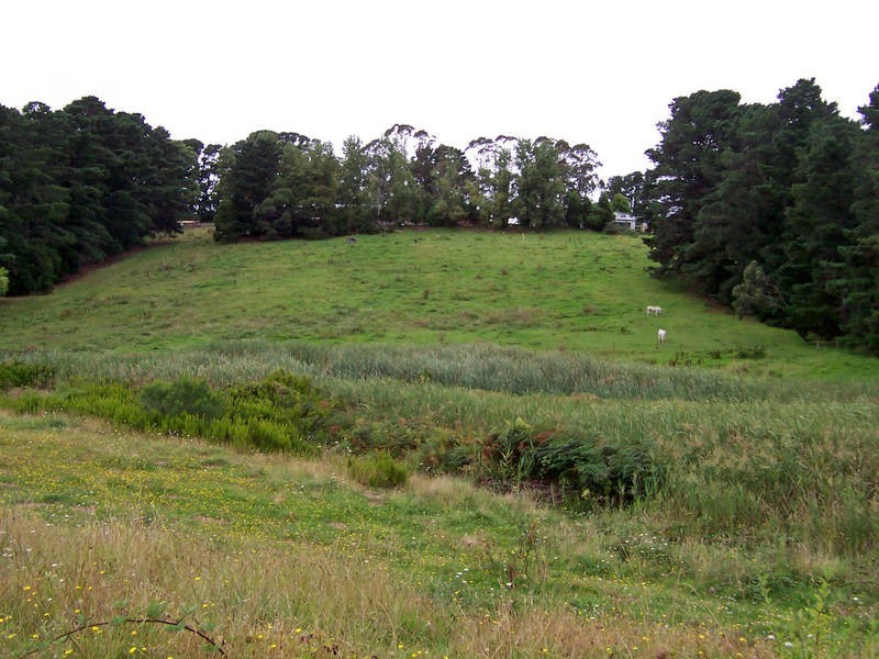 244 Red Hill Road, Red Hill VIC 3937