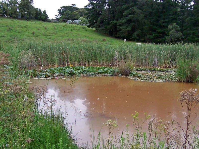 244 Red Hill Road, Red Hill VIC 3937